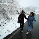 도래미분식 이미지