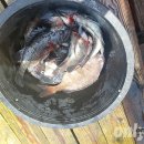 태극호좌대 이미지