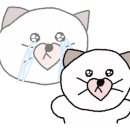 서진헤어샵