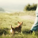 올리브동물병원 이미지