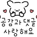 비엔코이비인후과의원 네이버블로그