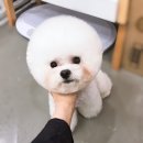 쓰담쓰담 이미지