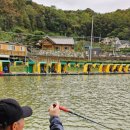 동영낚시터 이미지