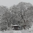 첫눈에공인중개사사무소 이미지