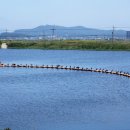 바람불어 좋은날 이미지