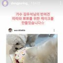 댕푸링 이미지