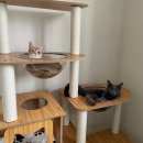 한옥 청송재 펜션 이미지