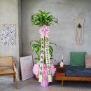 누리소농장 이미지