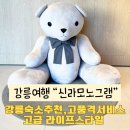 리틀램(little lamb) | 강릉여행 호캉스추천 신라모노그램 해변뷰 레지던스,호텔후기(객실정보,안내)