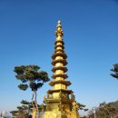 개를 품은 남자 | [인천 가볼만한 곳]황금빛 절경을 품은 도심 속 사찰 청량산 흥륜사 방문 후기