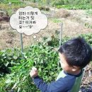 민욱농장 이미지