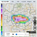 실시간 서울 중심부만 집중 폭우 이미지