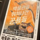 진주 충무공동 익룡ㆍ새ㆍ공룡발자국 화석산지 | 세계최대 익룡 화석 발견지, 진주 익룡발자국 전시관
