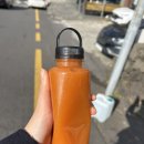고잔동 519-2~고잔동 525-4 주변 | 20250104 여행을 하다보면 운명론자가 되게 돼있다 (제주 뚜벅이 4)