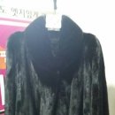 윤진세탁 이미지