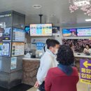 세븐일레븐 삼천포대방점 | 경남 사천 갈만한 곳 사천바다케이블카 아라마루아쿠아리움