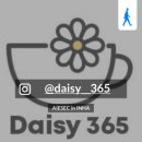 데이지365