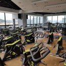 와우휘트니스 이미지