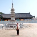 § - 은해사銀海寺.팔공산八公山 : 경북 영천시 청통면 치일리 이미지