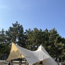 보령원산도 오션뷰캠핑존 해씨유(장보는것부터 상세리뷰)