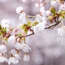 화담펜션 이미지