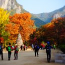 청송달기약수삼계탕 네이버블로그