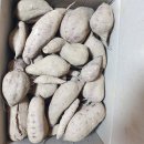 황토 밤고구마 이미지