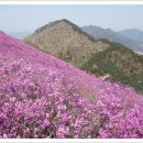 상봉농원