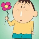 kits 국화꽃 후원(10월 2일) 이미지