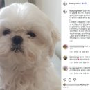 무지개다리 이미지