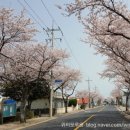 위미 모루왓 이미지