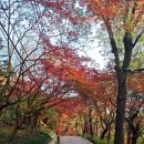 안산초입 화장실 이미지