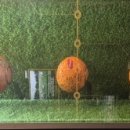 은평-064 이미지