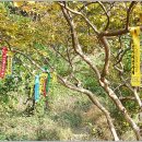 도경계 조형물 이미지