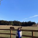 강산목장 | 12월의제주도