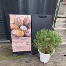 성북초등학교 후문 이미지