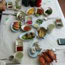 운영수산회센타 네이버블로그