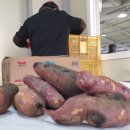 월정리경로당 이미지