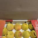 광인농장 이미지