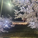 경포대주차장 이미지