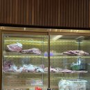 안녕한우 센텀점 | 센텀한우 맛집 우적 센텀점 특생갈비 후기 상견례 룸식당