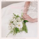 Wedding, 결혼준비 ep08 아이폰 서브스냅 | 스냅시고 계약 후기 (짝꿍 할인 2만원 ♥)