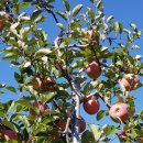 각골농장 이미지