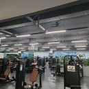 짐포레스트 이미지