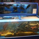 범양수산 이미지