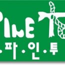 (주)알파인투어 이미지