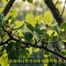 마태복음 24장 : 37절. “노아의 때와 같이 인자의 임함도 그러하리라”(노인이 되면 죽음이 오고, 죽음이 오면 두려움이 일어난다. 이미지