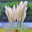 서남민물고기 | 좋은글.
