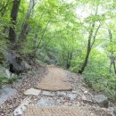 백운산등산로6코스 NSP통신