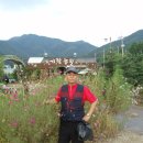 수리산 Daum카페